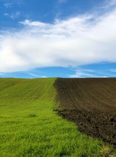 田野间的绿与黑土地分界