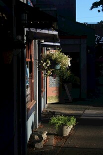 街边小店外的绿植景致