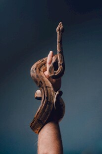 蛇缠绕