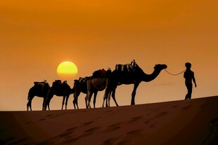 沙漠夕阳下的骆驼与旅人