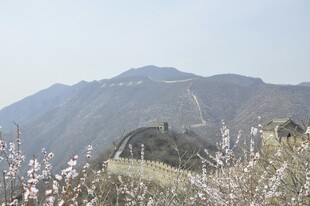 山间美景现繁花点点