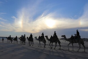 沙漠驼队在夕阳下前行
