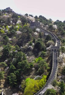 蜿蜒长城穿梭于葱郁山林