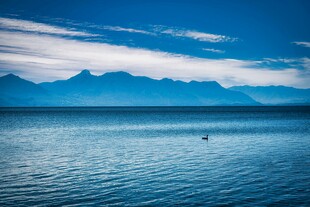 宁静湖景与远处山峦