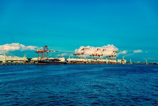 海港风光 船只与码头景象