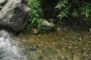 溪水