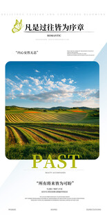 装饰画，杂质插画系列