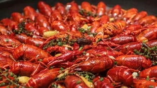 美味小龙虾诱人登场