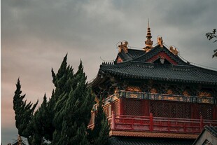 中式古建筑屋顶与绿树