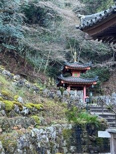 山间古雅日式建筑景观