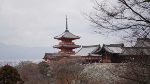 日本古寺建筑风景图
