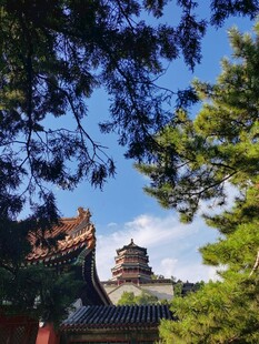 古建掩映于绿树蓝天间