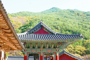 传统韩式建筑屋顶景观