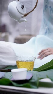 优雅茶艺展示