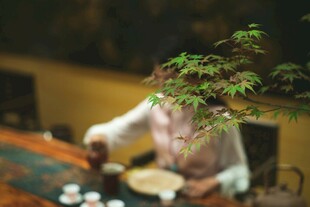 中式茶室中的优雅茶艺场景