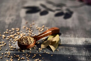 复古烟斗与散落的烟草