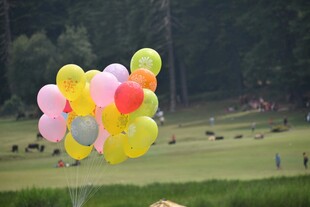 彩色气球飘于户外草地