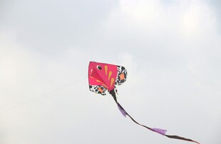 天空中飞翔的多彩风筝