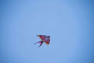 蓝天中飞翔的彩色风筝