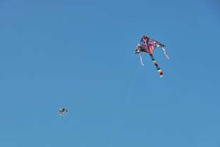天空中飞翔的多彩风筝