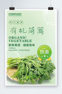 有机茼蒿蔬菜海报
