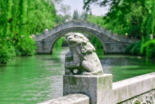 石桥畔石狮伴绿水垂柳