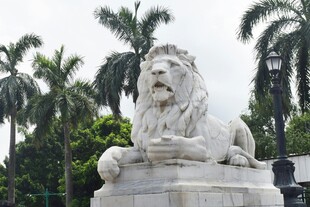 威严石狮子雕塑
