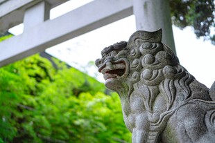 石狮子守护于绿意背景下