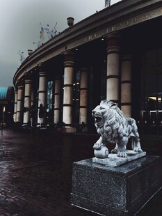 雨中的石狮子雕塑