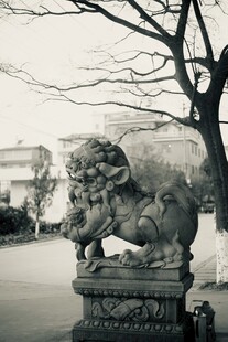 传统石狮子雕塑
