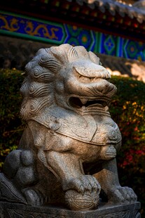 中式石狮子特写