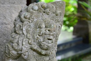 古老石雕兽头