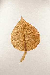 枯黄单叶特写