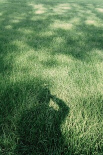 草地上的人影剪影