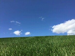 广袤绿野上的晴朗蓝天