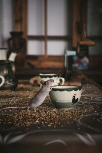 老鼠