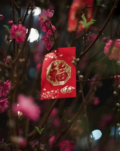 枝头红包添新春氛围