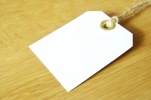 秋季野外风光卡通插画儿童画