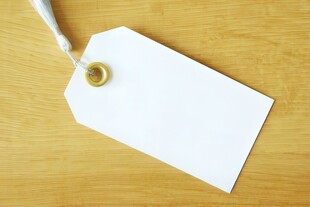 秋季野外风光卡通插画儿童画