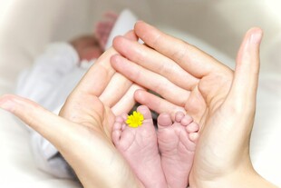 父母呵护下的婴儿小脚丫