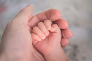 成人与婴儿小手相握瞬间