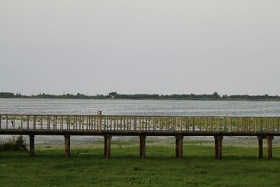 湖畔木桥风景