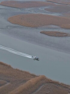 河上小船行驶于湿地间