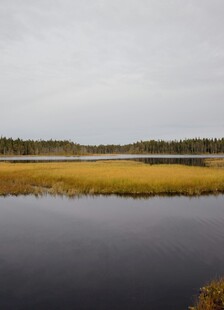 宁静湖畔风光