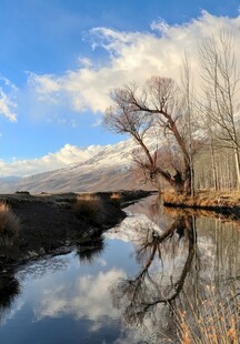 湖畔枯树与雪山倒影美景