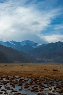 高原湿地与远处山峦美景