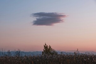 夕阳下的田野与空中云朵