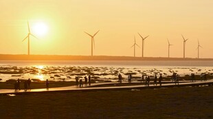 夕阳下的海上风力发电场