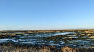 广袤湿地风光