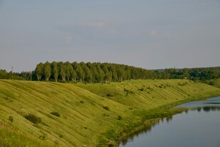 河畔葱郁草地与树木景观